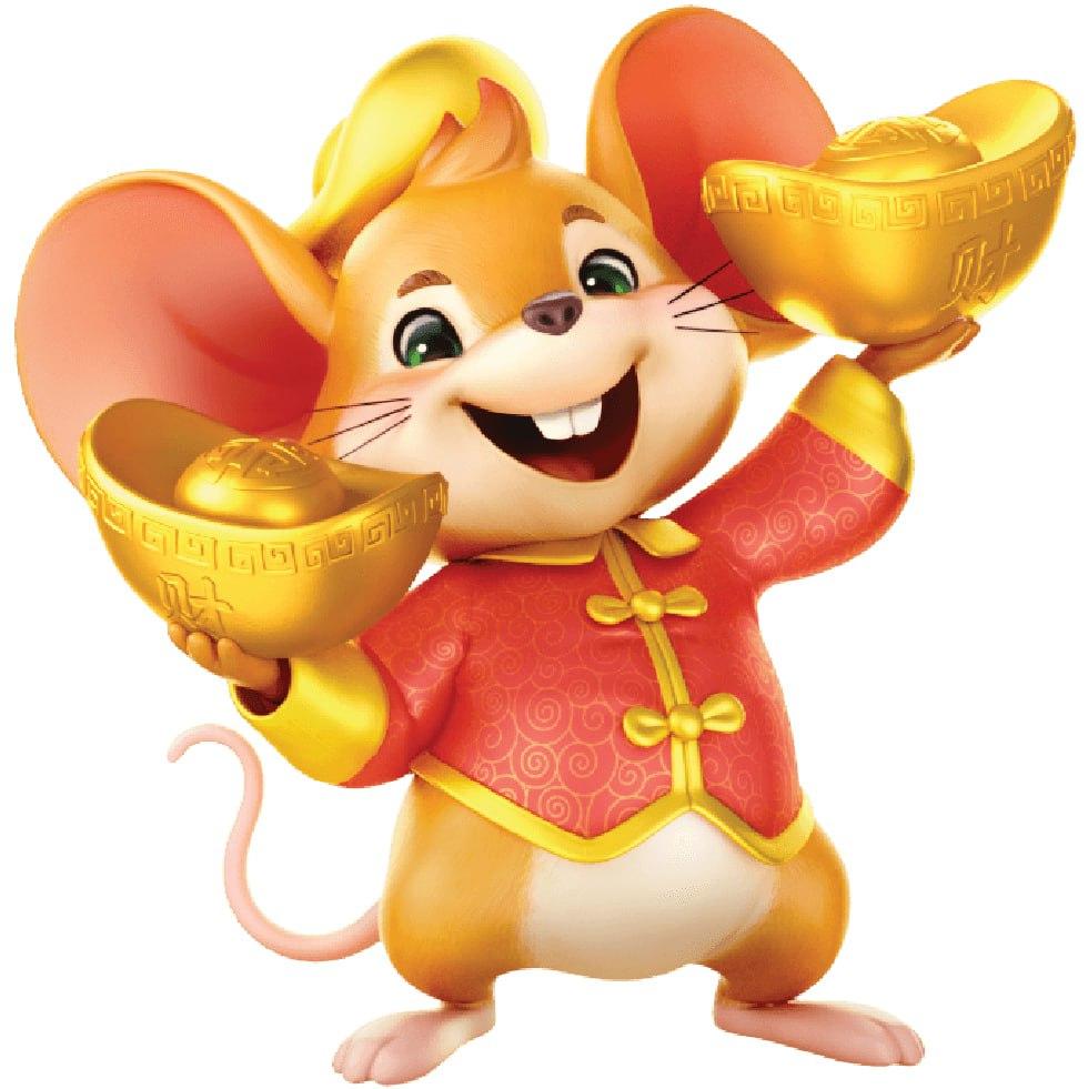 Men's Competition Barbell Set